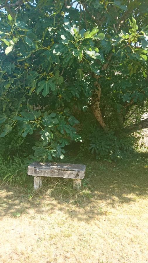 Fig Tree Barn Apartment Gibourne Exterior foto